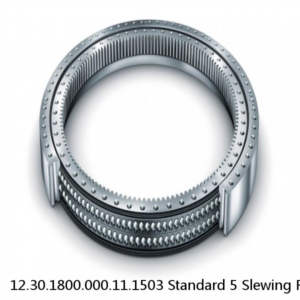 12.30.1800.000.11.1503 Standard 5 Slewing Ring Bearings