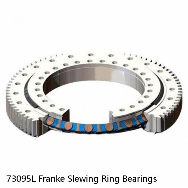 73095L Franke Slewing Ring Bearings