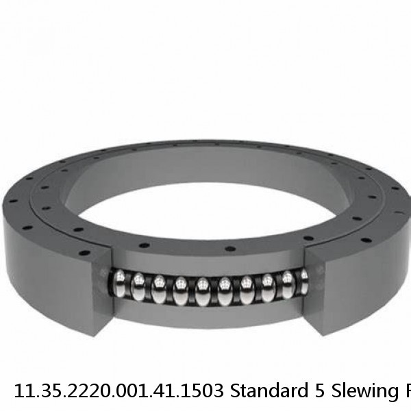 11.35.2220.001.41.1503 Standard 5 Slewing Ring Bearings