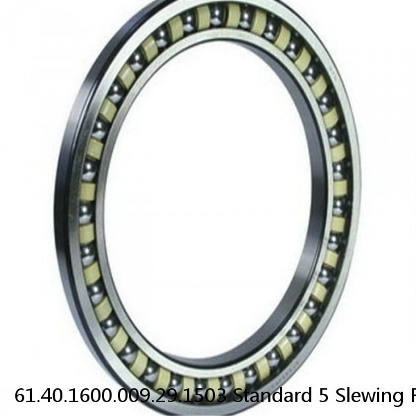 61.40.1600.009.29.1503 Standard 5 Slewing Ring Bearings