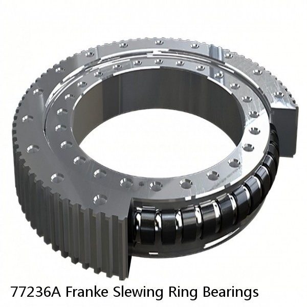 77236A Franke Slewing Ring Bearings