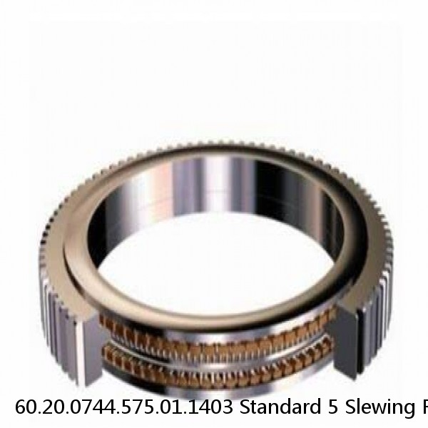 60.20.0744.575.01.1403 Standard 5 Slewing Ring Bearings