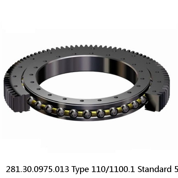 281.30.0975.013 Type 110/1100.1 Standard 5 Slewing Ring Bearings