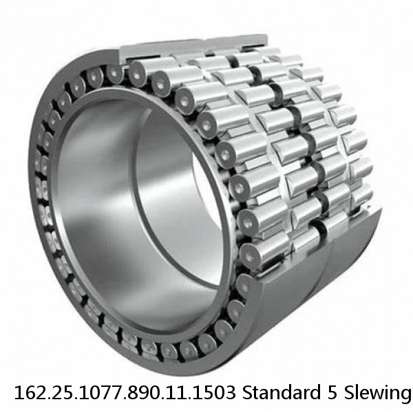 162.25.1077.890.11.1503 Standard 5 Slewing Ring Bearings