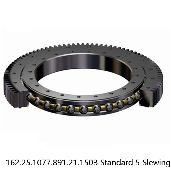 162.25.1077.891.21.1503 Standard 5 Slewing Ring Bearings