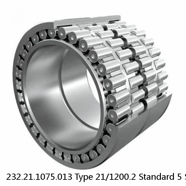 232.21.1075.013 Type 21/1200.2 Standard 5 Slewing Ring Bearings