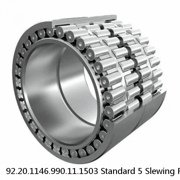 92.20.1146.990.11.1503 Standard 5 Slewing Ring Bearings