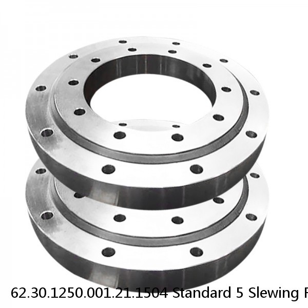 62.30.1250.001.21.1504 Standard 5 Slewing Ring Bearings