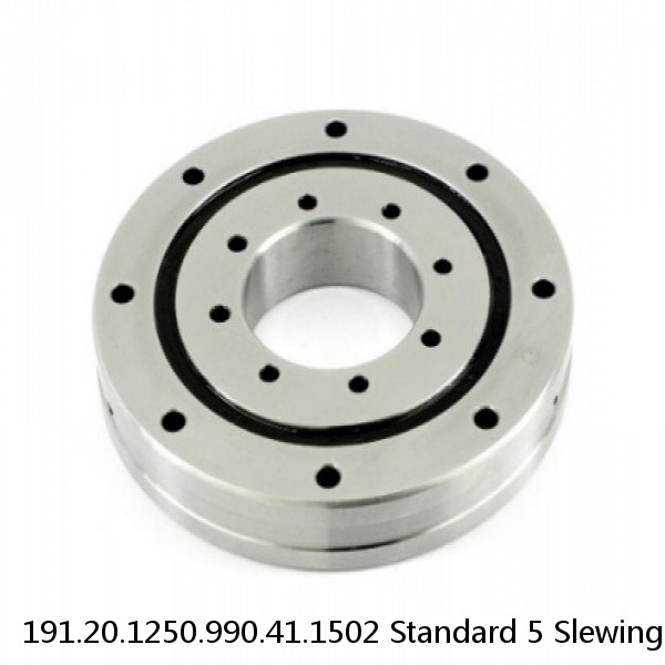 191.20.1250.990.41.1502 Standard 5 Slewing Ring Bearings