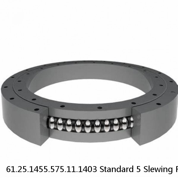 61.25.1455.575.11.1403 Standard 5 Slewing Ring Bearings