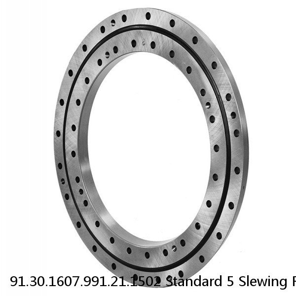 91.30.1607.991.21.1502 Standard 5 Slewing Ring Bearings