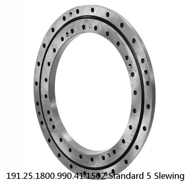 191.25.1800.990.41.1502 Standard 5 Slewing Ring Bearings