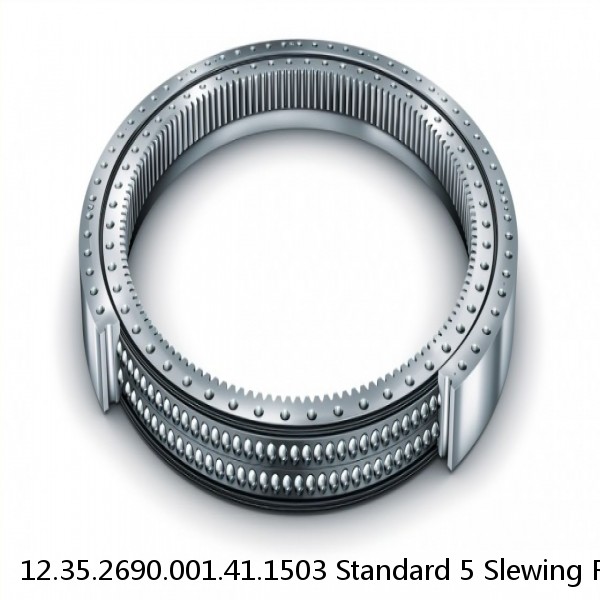 12.35.2690.001.41.1503 Standard 5 Slewing Ring Bearings