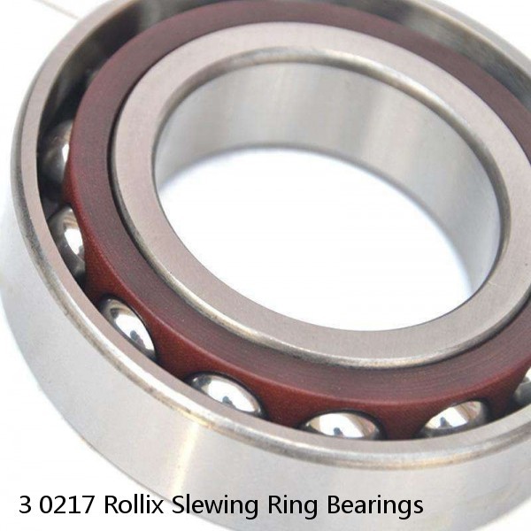 3 0217 Rollix Slewing Ring Bearings