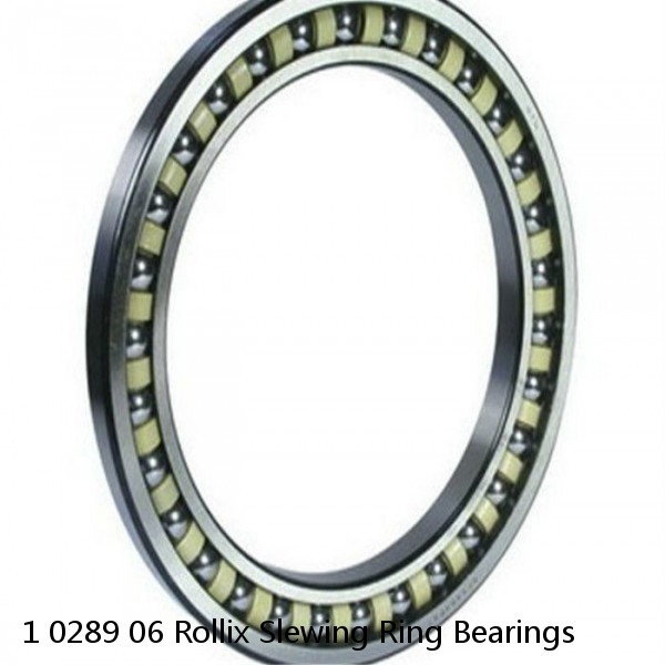 1 0289 06 Rollix Slewing Ring Bearings