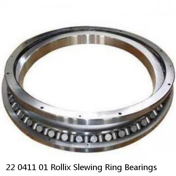 22 0411 01 Rollix Slewing Ring Bearings