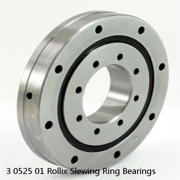 3 0525 01 Rollix Slewing Ring Bearings