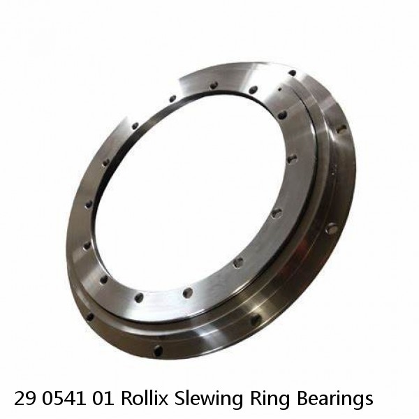 29 0541 01 Rollix Slewing Ring Bearings