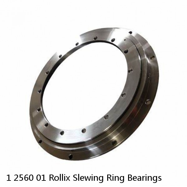 1 2560 01 Rollix Slewing Ring Bearings