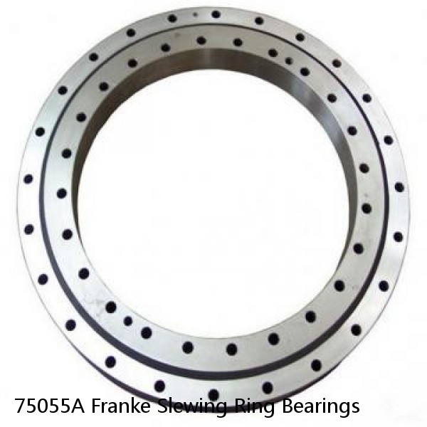 75055A Franke Slewing Ring Bearings