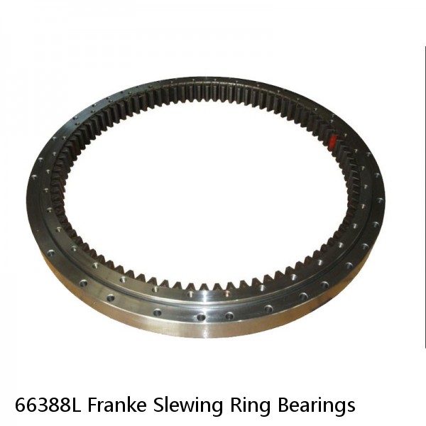 66388L Franke Slewing Ring Bearings