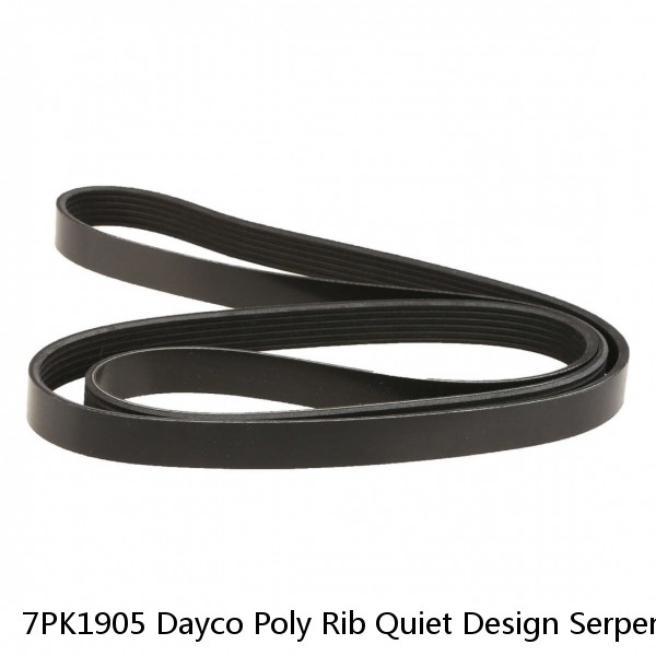 7PK1905 Dayco Poly Rib Quiet Design Serpentine Belt Free Shipping Free Returns