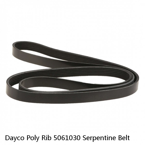 Dayco Poly Rib 5061030 Serpentine Belt