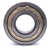 105 mm x 190 mm x 36 mm  SKF NUP 221 ECP thrust ball bearings