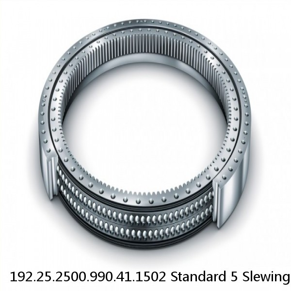 192.25.2500.990.41.1502 Standard 5 Slewing Ring Bearings