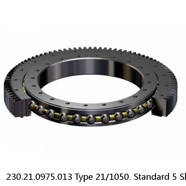 230.21.0975.013 Type 21/1050. Standard 5 Slewing Ring Bearings