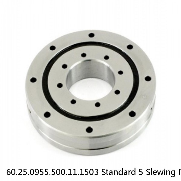 60.25.0955.500.11.1503 Standard 5 Slewing Ring Bearings