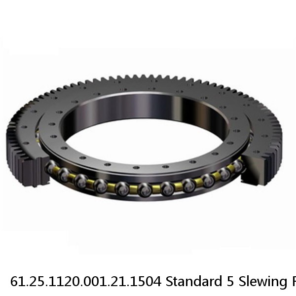 61.25.1120.001.21.1504 Standard 5 Slewing Ring Bearings