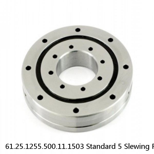 61.25.1255.500.11.1503 Standard 5 Slewing Ring Bearings