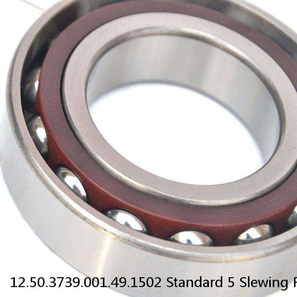 12.50.3739.001.49.1502 Standard 5 Slewing Ring Bearings