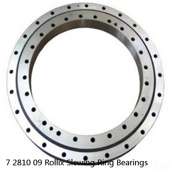 7 2810 09 Rollix Slewing Ring Bearings