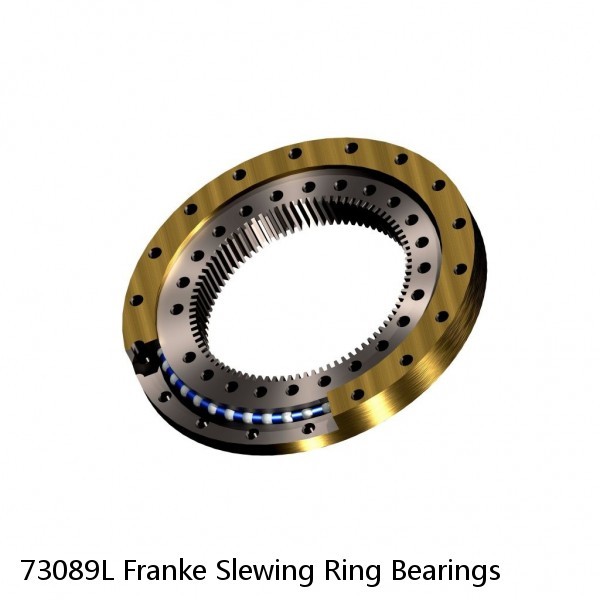 73089L Franke Slewing Ring Bearings