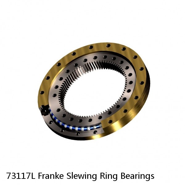 73117L Franke Slewing Ring Bearings