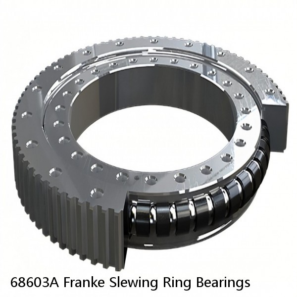 68603A Franke Slewing Ring Bearings