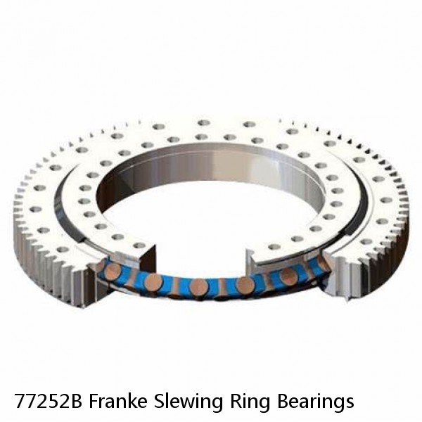 77252B Franke Slewing Ring Bearings