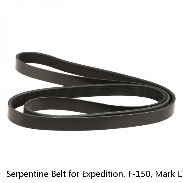 Serpentine Belt for Expedition, F-150, Mark LT, Navigator Dayco Poly rib 5061030