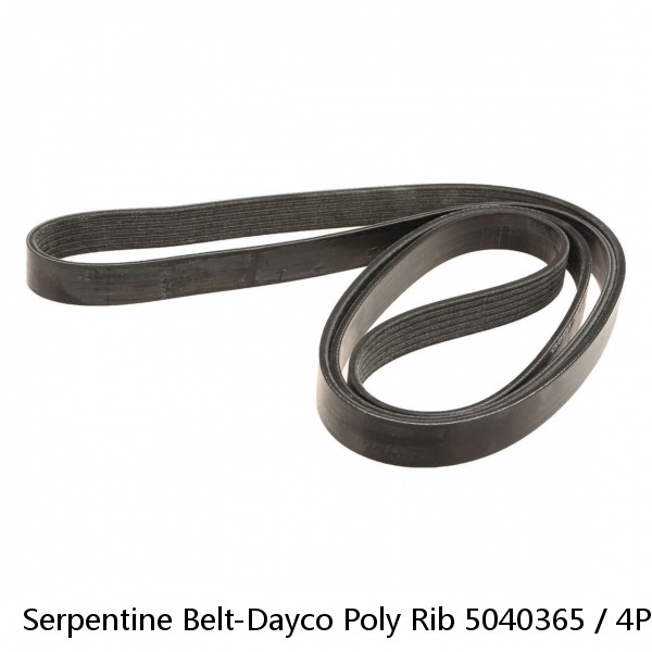 Serpentine Belt-Dayco Poly Rib 5040365 / 4PK0925